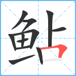 鲇笔顺分解图片12