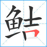 鲒笔顺分解图片13