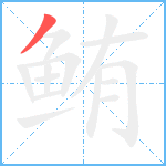 鲔笔顺分解图片1