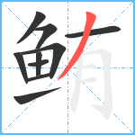 鲔笔顺分解图片10