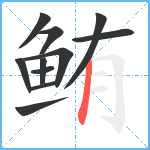 鲔笔顺分解图片11