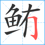 鲔笔顺分解图片12