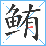 鲔笔顺分解图片14