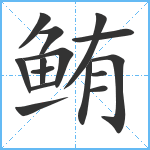 鲔笔顺分解图片15