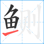 鲗笔顺分解图片8