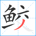 鲛笔顺分解图片13