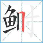 鲥笔顺分解图片10