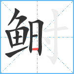 鲥笔顺分解图片12