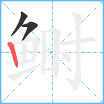 鲥笔顺分解图片3