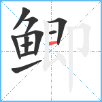 鲫笔顺分解图片11