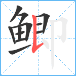 鲫笔顺分解图片12
