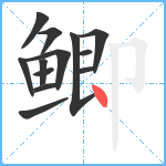 鲫笔顺分解图片13