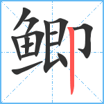 鲫笔顺分解图片15