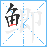 鲫笔顺分解图片7