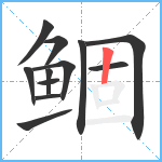 鲴笔顺分解图片12