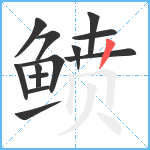 鲼笔顺分解图片13