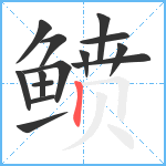 鲼笔顺分解图片14