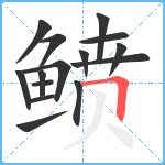 鲼笔顺分解图片15