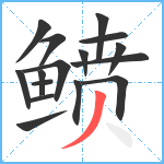 鲼笔顺分解图片16