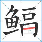 鲾笔顺分解图片15