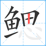 鳃笔顺分解图片12