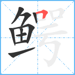 鳄笔顺分解图片10