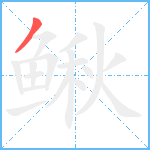 鳅笔顺分解图片1