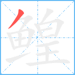 鳇笔顺分解图片1