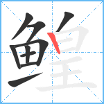 鳇笔顺分解图片10