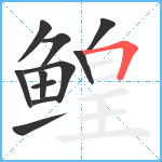 鳇笔顺分解图片11