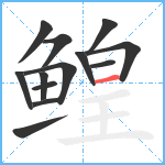 鳇笔顺分解图片13