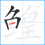 鳇笔顺分解图片5