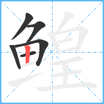 鳇笔顺分解图片6