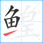 鳇笔顺分解图片8