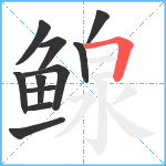 鳈笔顺分解图片11