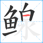 鳈笔顺分解图片12