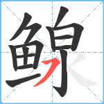 鳈笔顺分解图片15