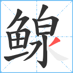 鳈笔顺分解图片16