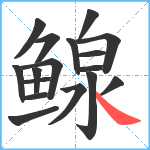 鳈笔顺分解图片17