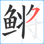 鳉笔顺分解图片13