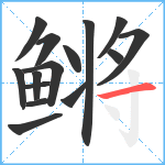 鳉笔顺分解图片15