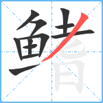 鳍笔顺分解图片12