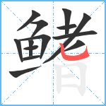 鳍笔顺分解图片14