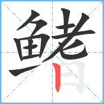 鳍笔顺分解图片15