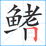 鳍笔顺分解图片16