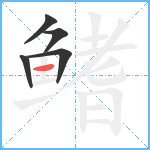 鳍笔顺分解图片5