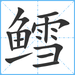 鳕笔顺分解图片20