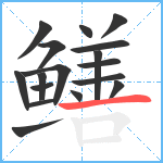 鳝笔顺分解图片17