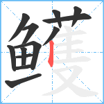 鳠笔顺分解图片13