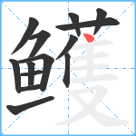 鳠笔顺分解图片14